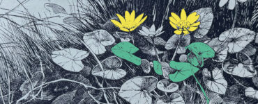 header 1 eerstelling verkade lente