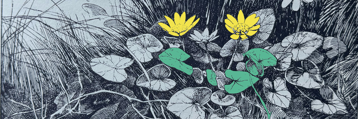 header 1 eerstelling verkade lente