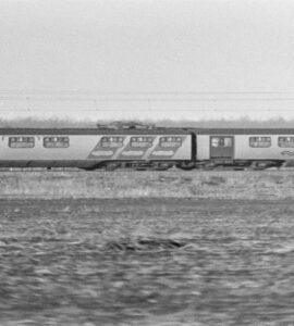 treinkaping Weister 1975