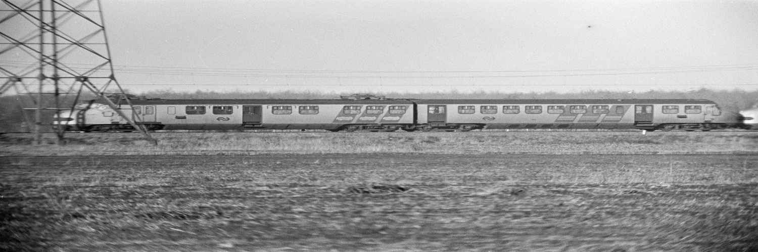 treinkaping Weister 1975