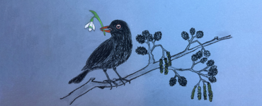 header blackbird beatles
