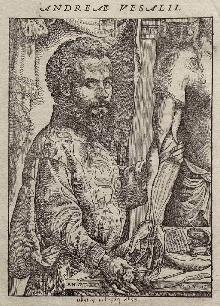Vesalius Fabrica portrait