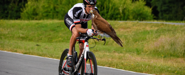 Buizerd FCTrappist Burkunk