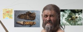 otzi the- iceman mijlpaal kenmerkende aspecten