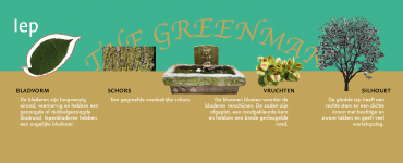header_iep