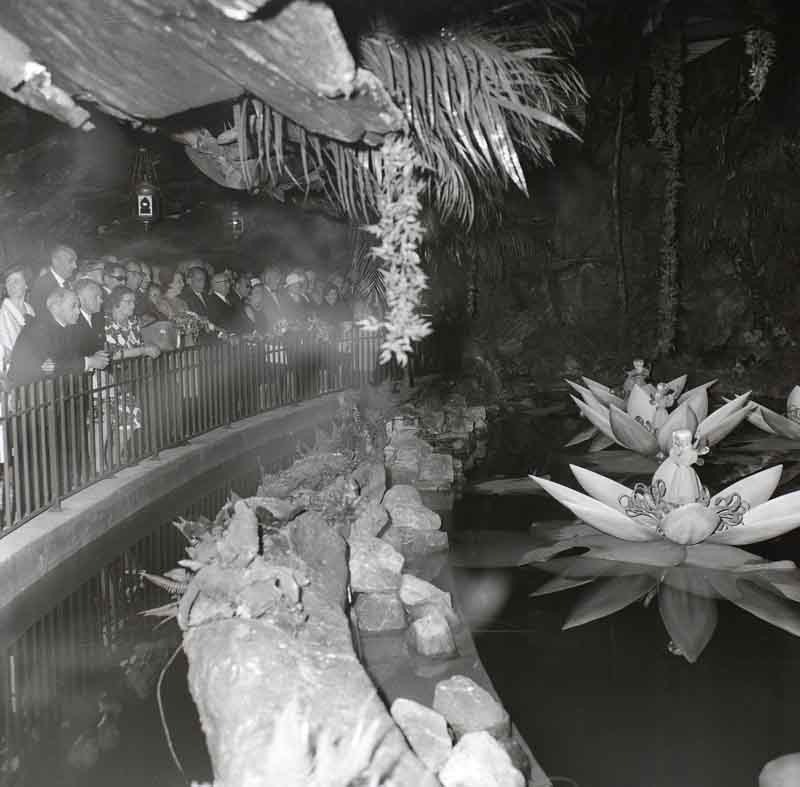 Indische waterlelies efteling 1966