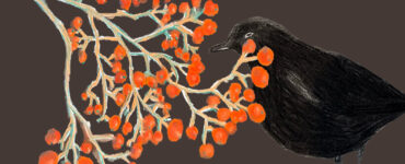 brief aan de lezer 08 11 2025 burkunk header