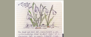 brief aan de lezer 03 02 2026