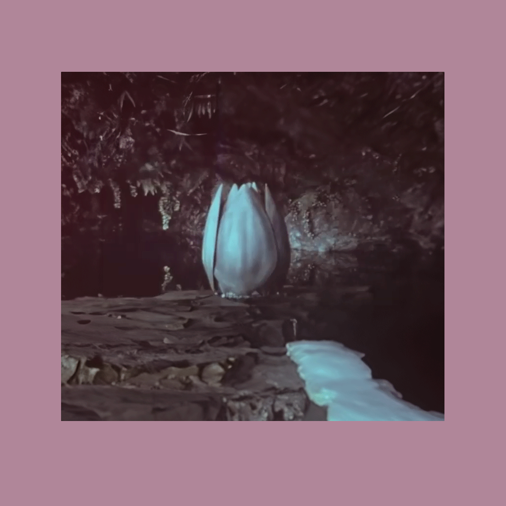 waterlelie efteling 1971