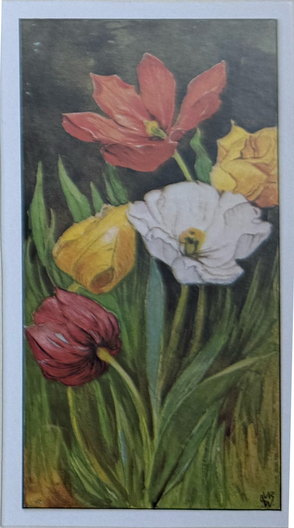 018. Tulpen