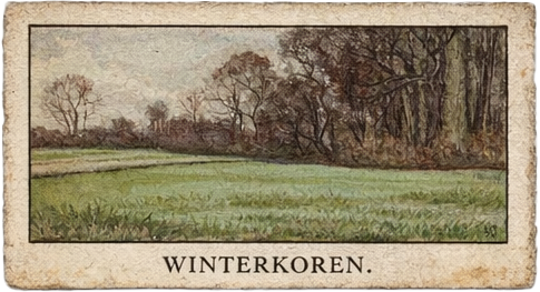 025. Winterkoren